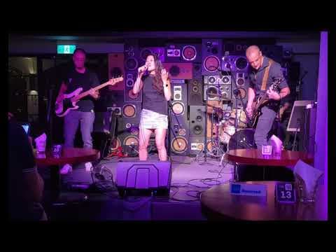 Zensø playing live — 3